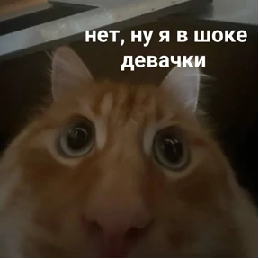 резедулькины переговоры — стикер для MAX