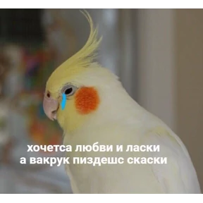 резедулькины переговоры — стикер для MAX