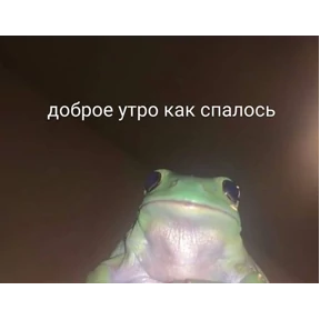 резедулькины переговоры — стикер для MAX