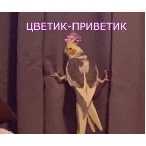 резедулькины переговоры — стикер для MAX
