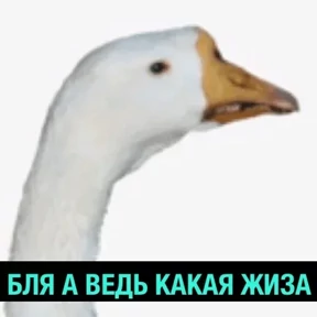 1984-стики — стикер для MAX
