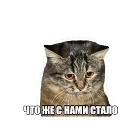 1984-стики — стикер для MAX