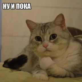1984-стики — стикер для MAX