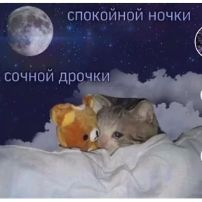 резедулькины переговоры — стикер для MAX