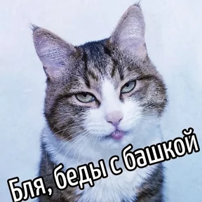 1984-стики — стикер для MAX