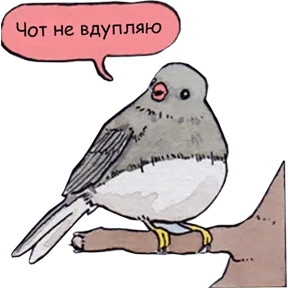 1984-стики — стикер для MAX