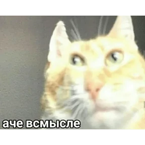 1984-стики — стикер для MAX