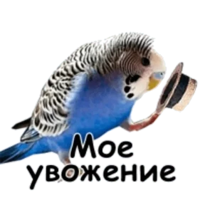 1984-стики — стикер для MAX