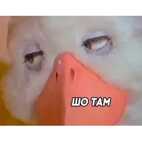 1984-стики — стикер для MAX