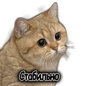 1984-стики — стикер для MAX