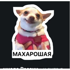 Мои — стикер для MAX