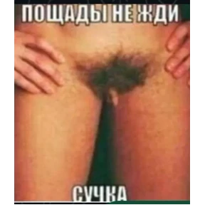 Мои — стикер для MAX