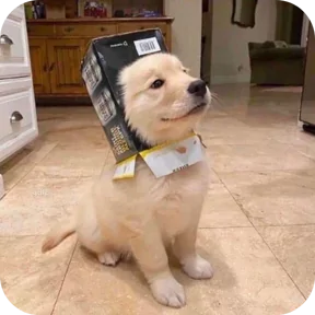Стикер