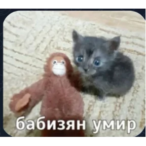 Бибизян — стикер для MAX