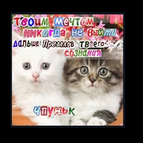 Пацаны одобряют — стикер для MAX