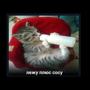 Пацаны одобряют — стикер для MAX