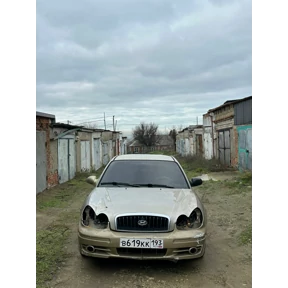 Соната — стикер для MAX
