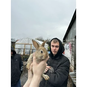 Best trio — стикер для MAX