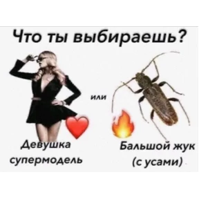 рандом для конфы — стикер для MAX