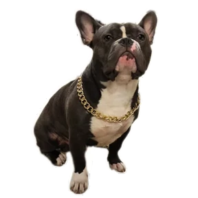 Loki the bully — стикер для MAX