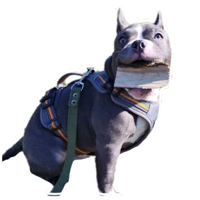 Loki the bully — стикер для MAX