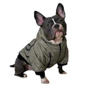 Loki the bully — стикер для MAX