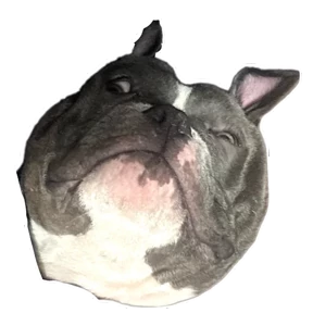 Loki the bully — стикер для MAX