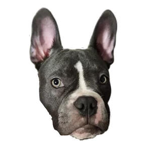 Loki the bully — стикер для MAX