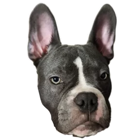 Loki the bully — стикер для MAX