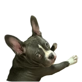 Loki the bully — стикер для MAX