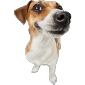 нужный — стикер для MAX