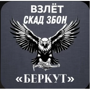 СКАД — стикер для MAX