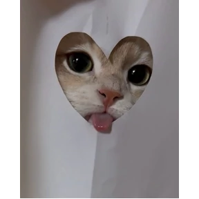 Stickersss — стикер для MAX