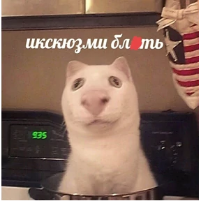 Абоба — стикер для MAX