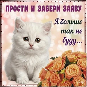 Эх ты — стикер для MAX