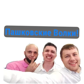 ПАО — стикер для MAX