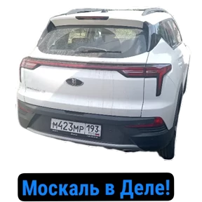 ПАО — стикер для MAX