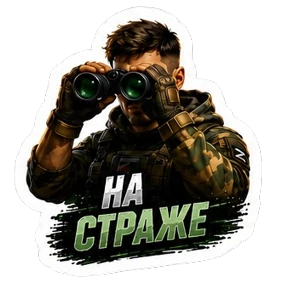 СВО авторский lrina_1993_EVS — стикер для MAX