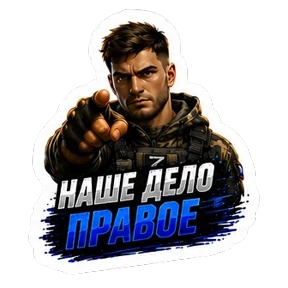 СВО авторский lrina_1993_EVS — стикер для MAX