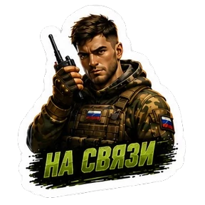 СВО авторский lrina_1993_EVS — стикер для MAX