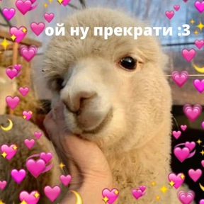 Котики — стикер для MAX