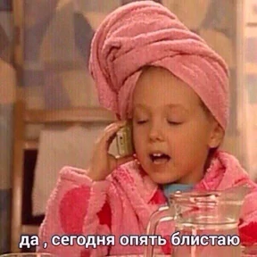 Котики — стикер для MAX