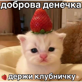 Котики — стикер для MAX