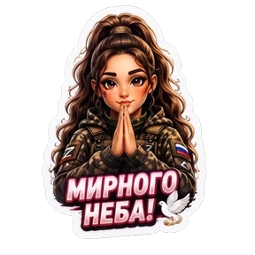 СВО авторский lrina_1993_EVS — стикер для MAX