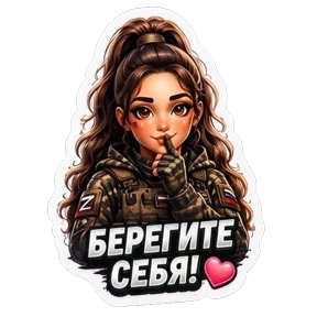 СВО авторский lrina_1993_EVS — стикер для MAX