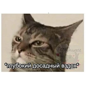 Работа — стикер для MAX