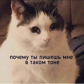 Работа — стикер для MAX