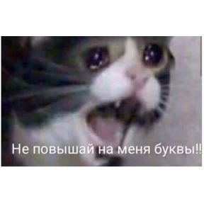 Работа — стикер для MAX