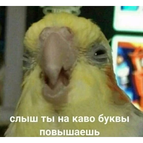 Работа — стикер для MAX
