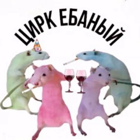 Мемная солянка — стикер для MAX